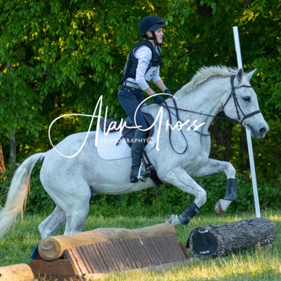 Meet your Posher, Frankie - Picture 4 of 5